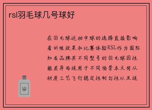 rsl羽毛球几号球好