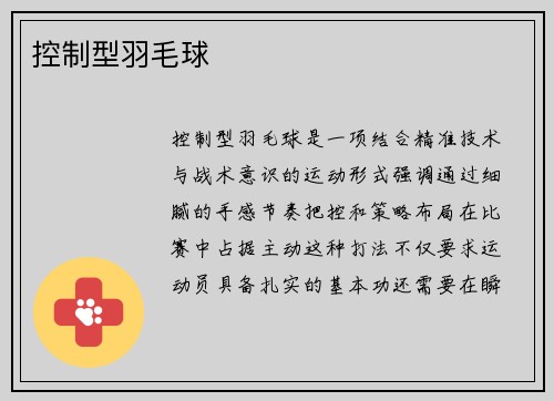 控制型羽毛球
