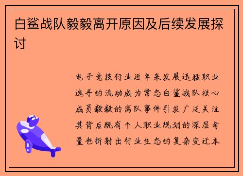 白鲨战队毅毅离开原因及后续发展探讨