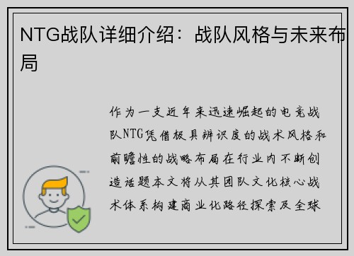 NTG战队详细介绍：战队风格与未来布局