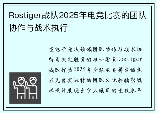 Rostiger战队2025年电竞比赛的团队协作与战术执行
