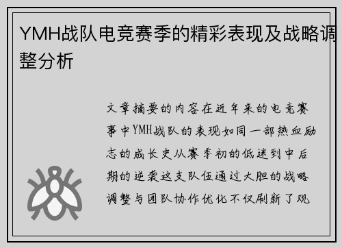 YMH战队电竞赛季的精彩表现及战略调整分析